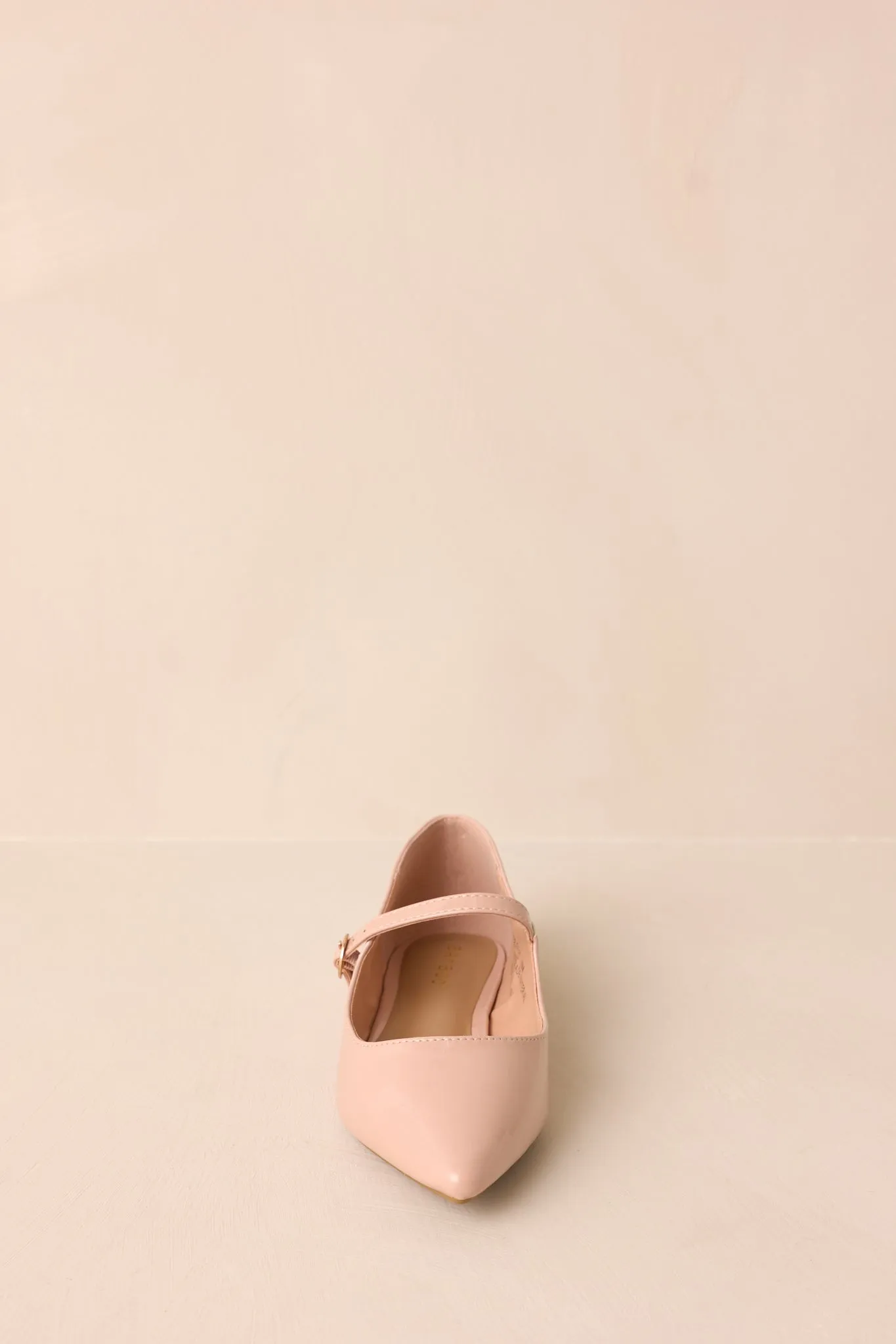 Frostveil Mantle Beige Pointed-Toe Flats