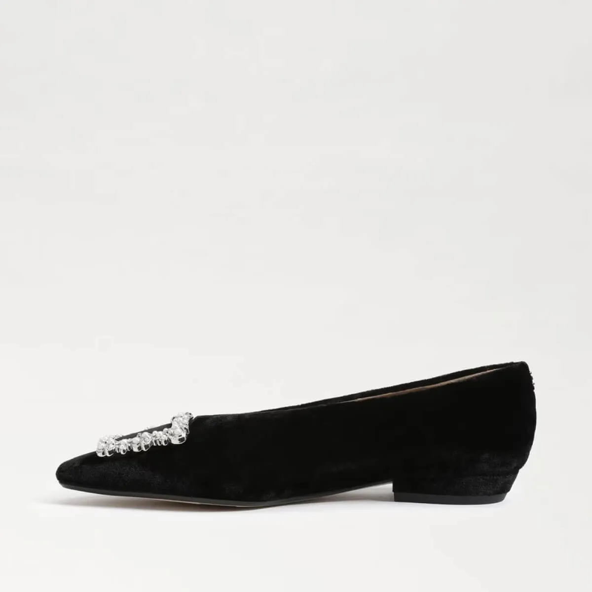 Sam Edelman Janna Luster Pointed Toe Flat